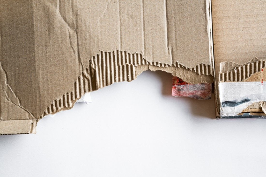 kraft cardboard or paper packaging